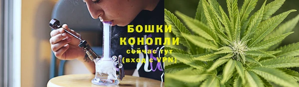 соль ск Каменка