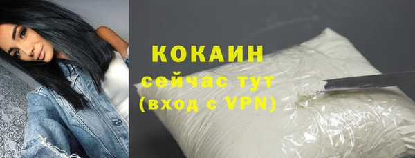 соль ск Каменка