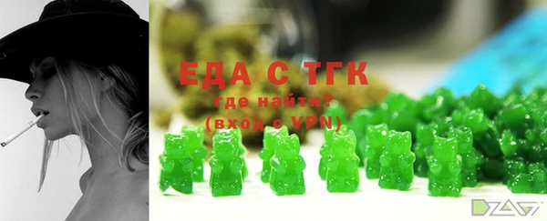 соль ск Каменка
