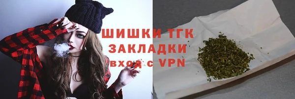 соль ск Каменка