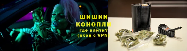 сатива Каменск-Шахтинский