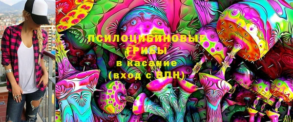 соль ск Каменка