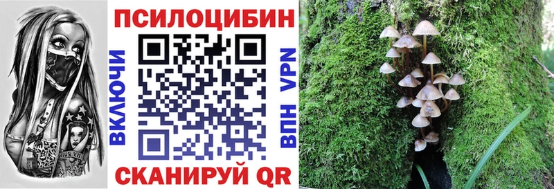 Псилоцибиновые грибы ЛСД  Купить  Зеленокумск 